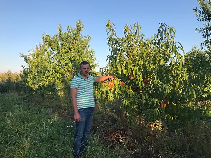 Розвиток садівництва є важливим напрямом діяльності дорадників Аграрної палати