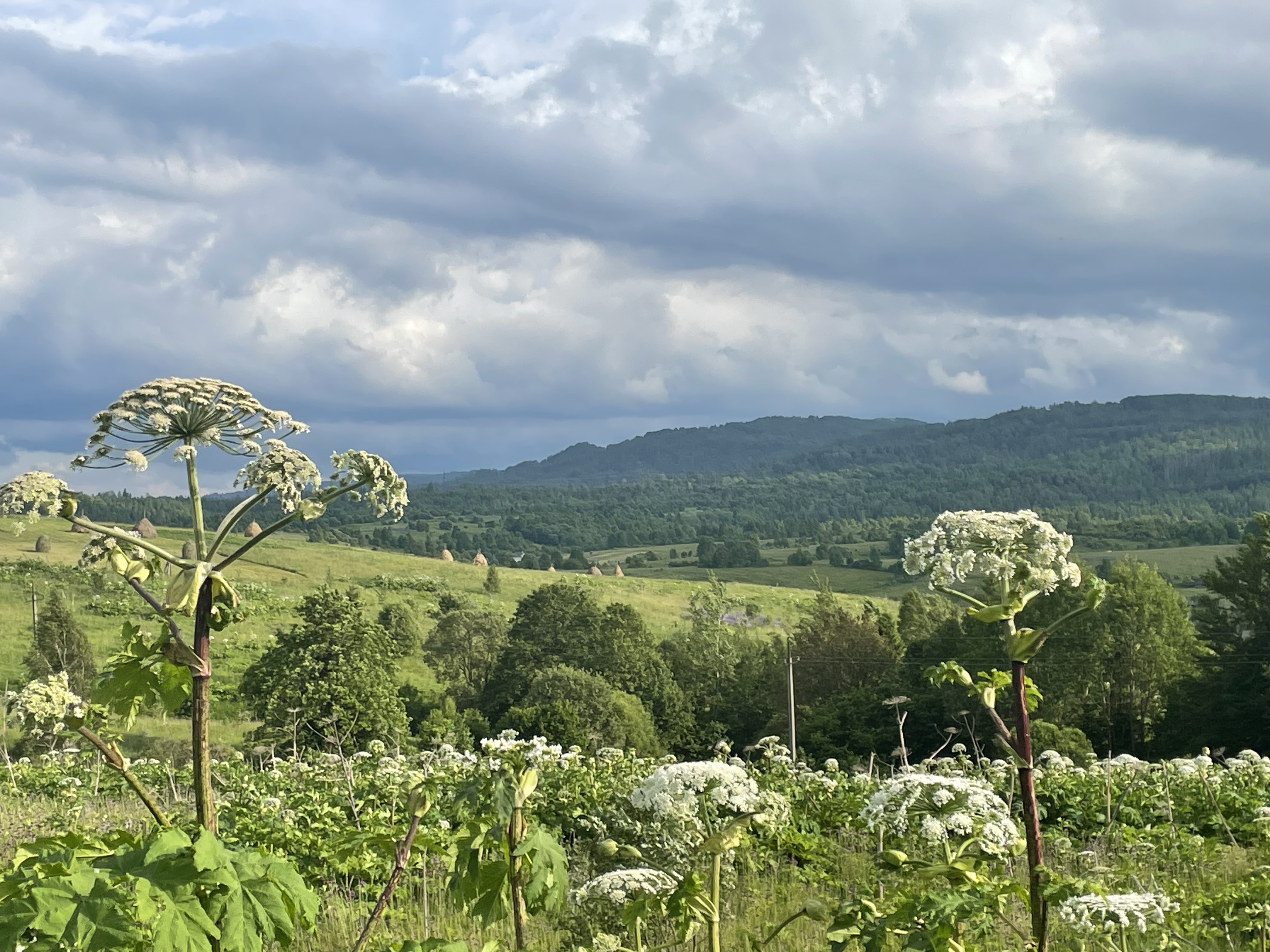 Екологічні ініціативи Львівської Аграрної палати в дії
