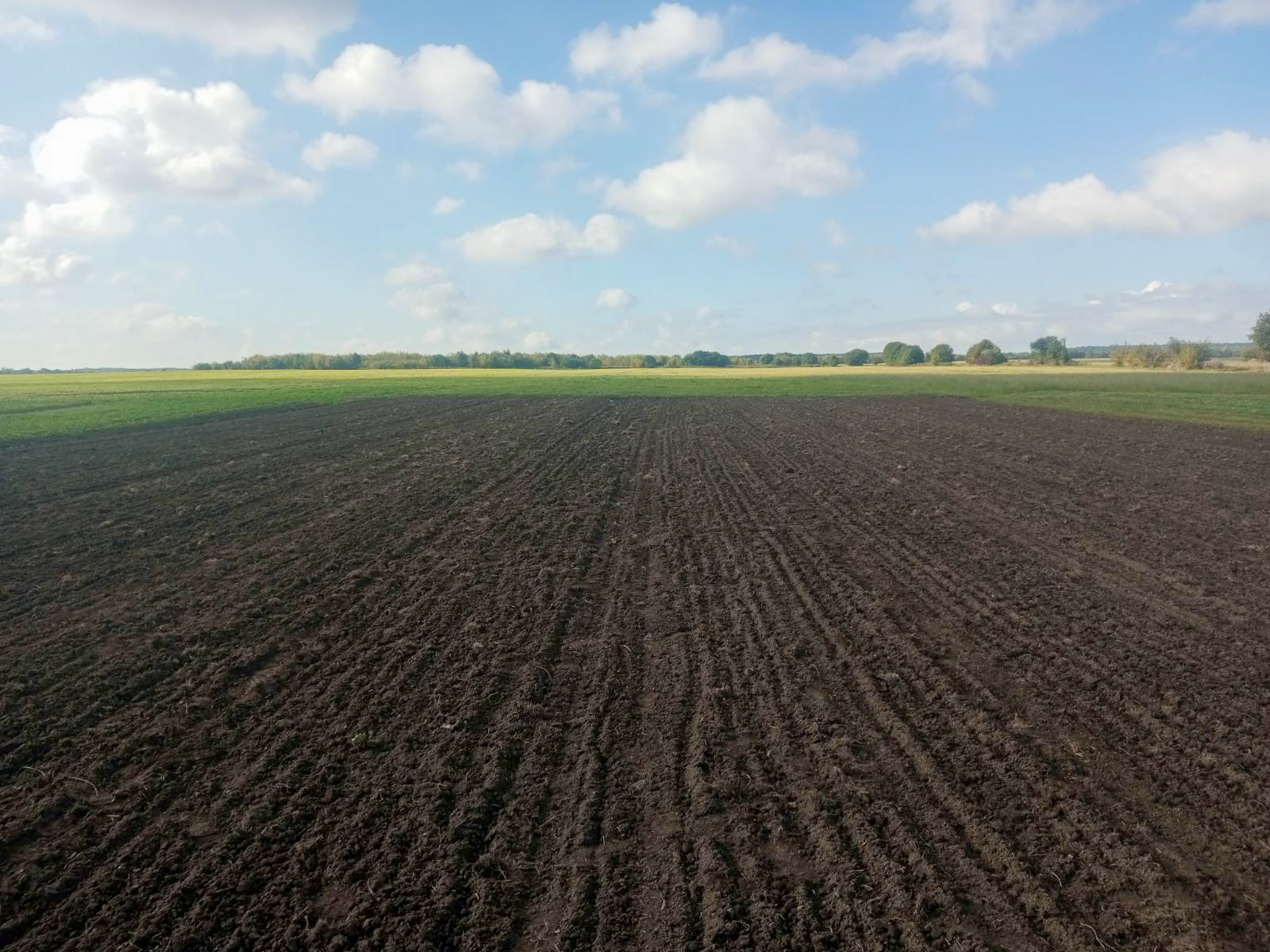 AGRI-BIOCIRCULAR-HUB (7)