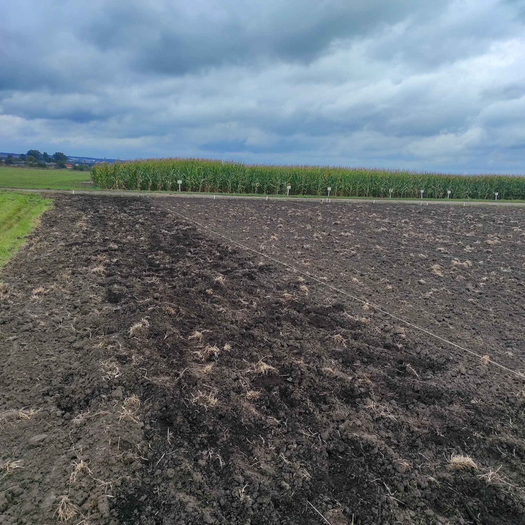 AGRI-BIOCIRCULAR-HUB (9)