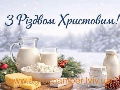 З Різдвом Христовим!