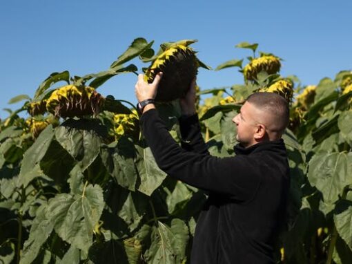Львівська Аграрна Палата підтримує українських виробників насіння