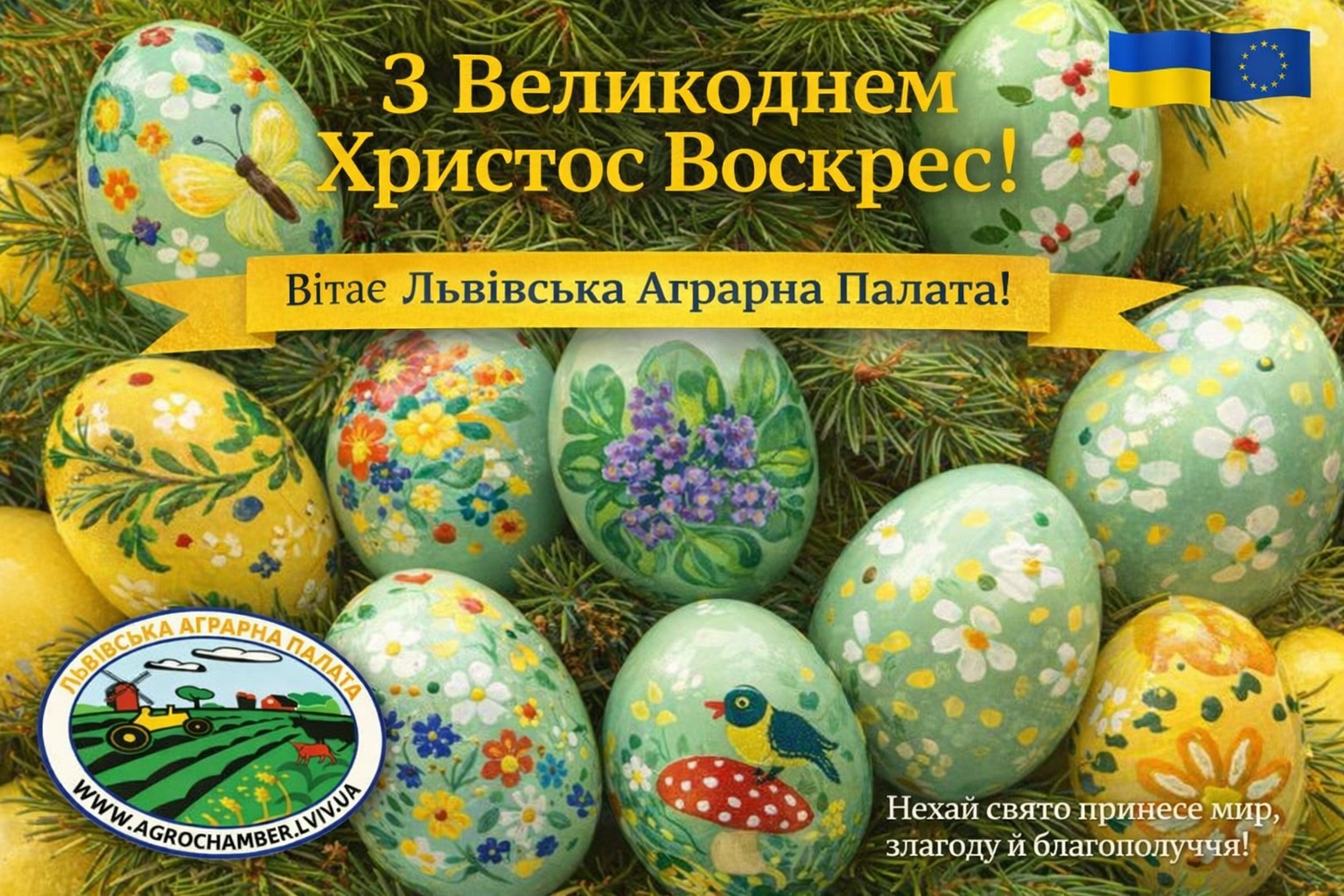 WhatsApp Image 2026-04-10 at 08.04.19