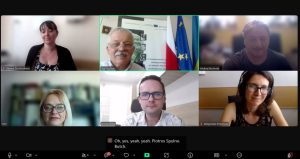 Відбулася онлайн-зустріч партнерів проєкту ZeroHeracleum
