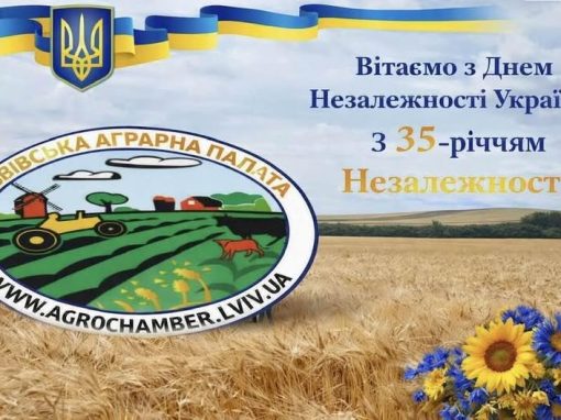 Вітаємо з Днем Незалежності України!