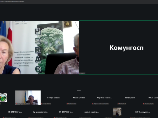 Боротьба з борщівником: що вдалося виконати упродовж вегетаційного періоду