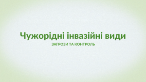Борщівник Сосновського – один із найнебезпечніших інвазійних видів у Польщі та Україні (ВІДЕО)